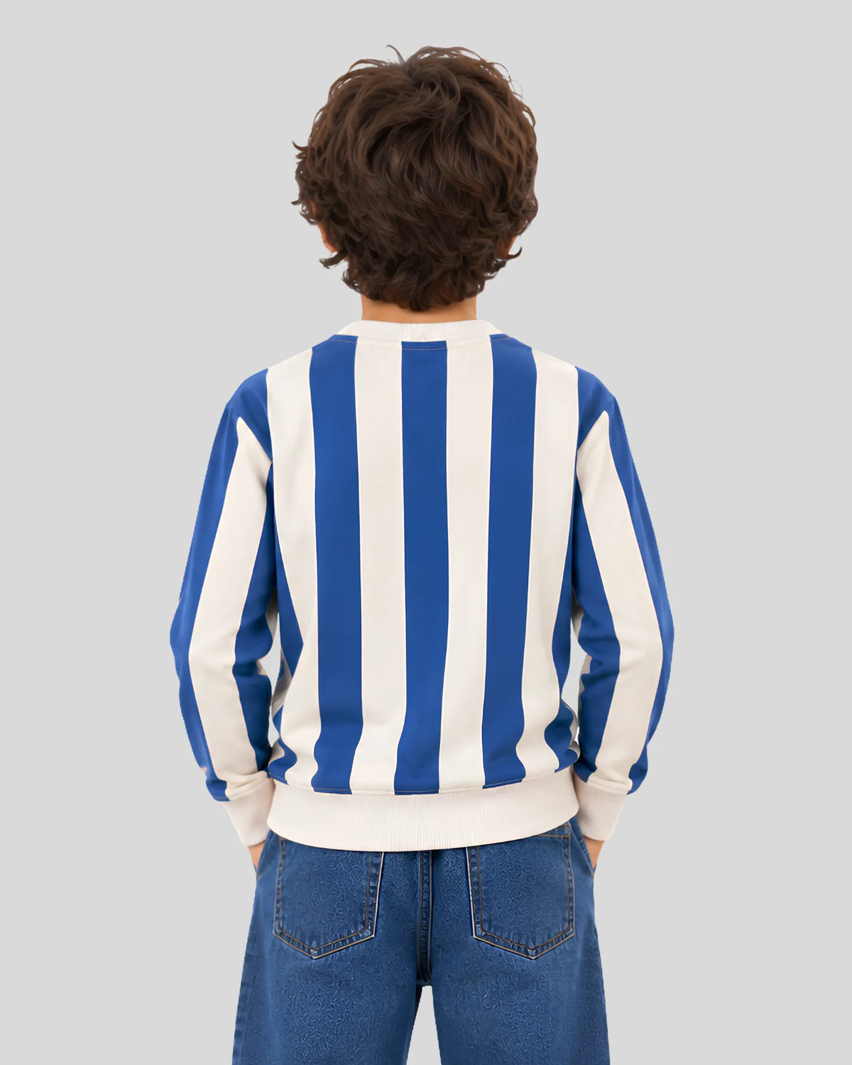Boys Premium Striped Sweatshirt
