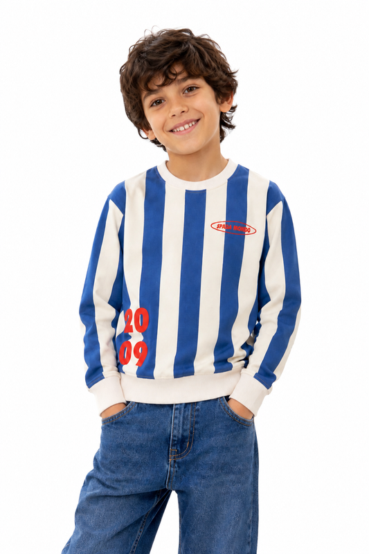 Boy's Premium Blue & White Striped Sweatshirt